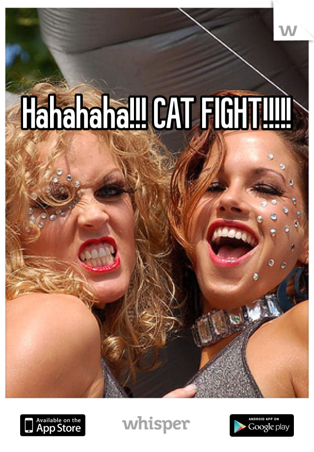 Hahahaha!!! CAT FIGHT!!!!!