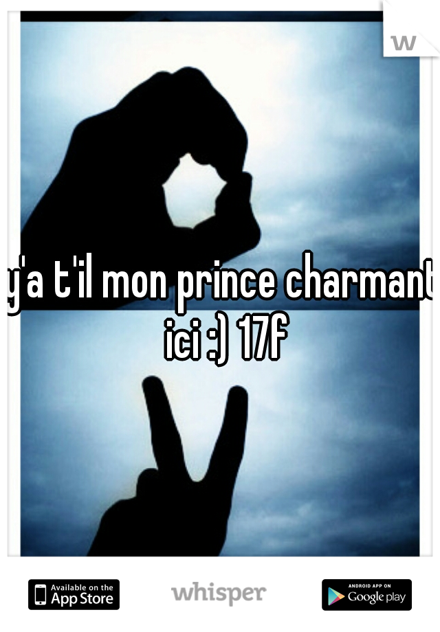 y'a t'il mon prince charmant ici :) 17f