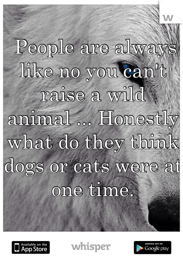  People are always like no you can't raise a wild animal ... Honestly what do they think dogs or cats were at one time.
