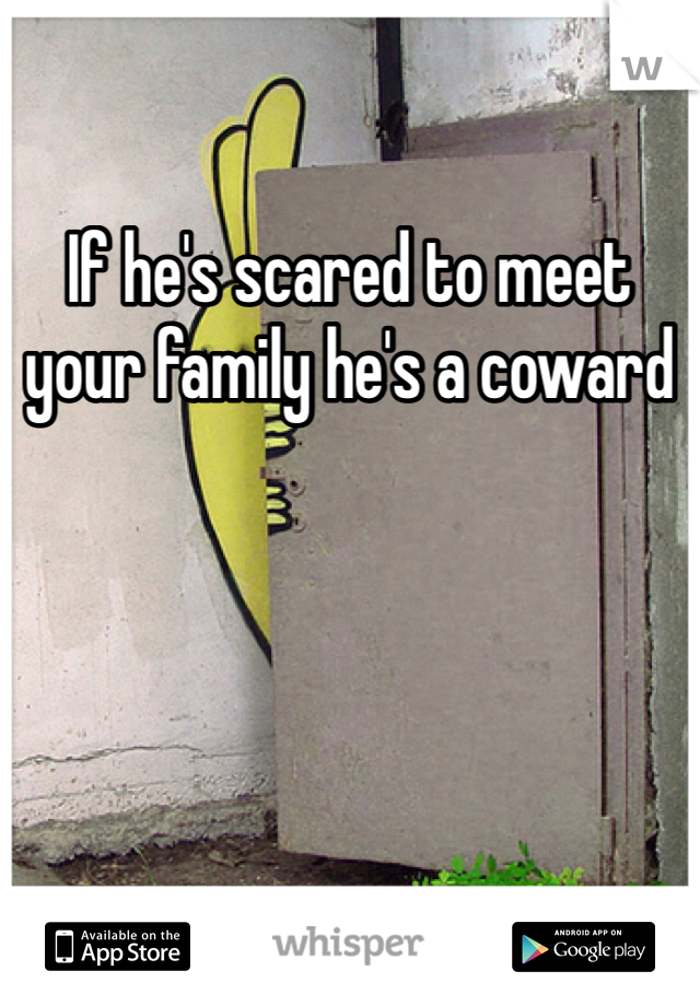 If he's scared to meet your family he's a coward 