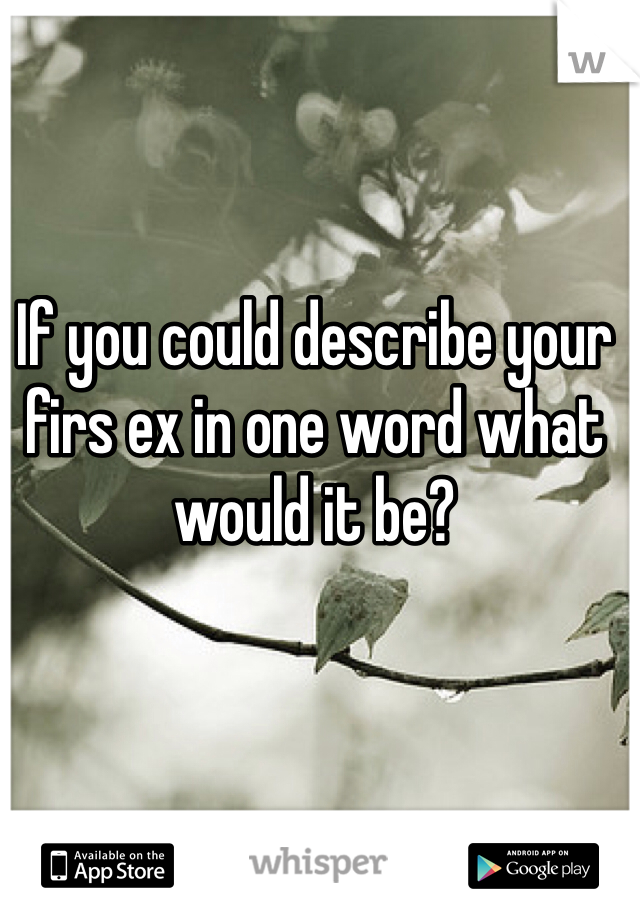 If you could describe your firs ex in one word what would it be? 