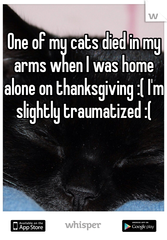 One of my cats died in my arms when I was home alone on thanksgiving :( I'm slightly traumatized :( 