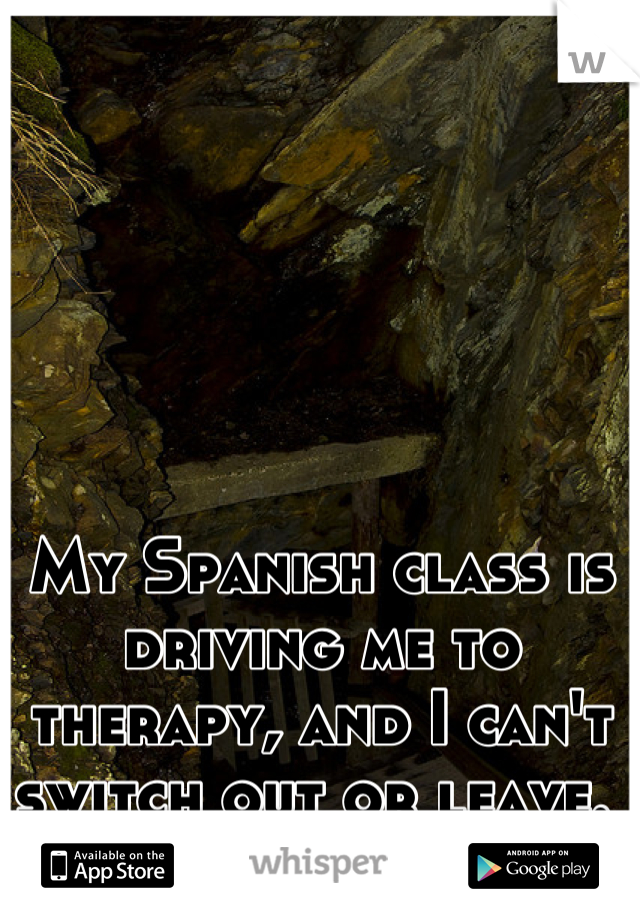 My Spanish class is driving me to therapy, and I can't switch out or leave. 