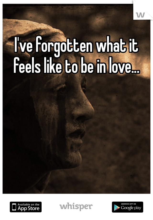 I've forgotten what it feels like to be in love... 