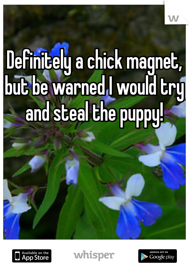 Definitely a chick magnet, but be warned I would try and steal the puppy! 