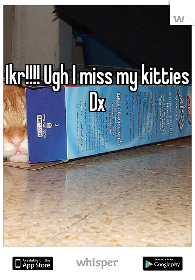 Ikr!!!! Ugh I miss my kitties Dx