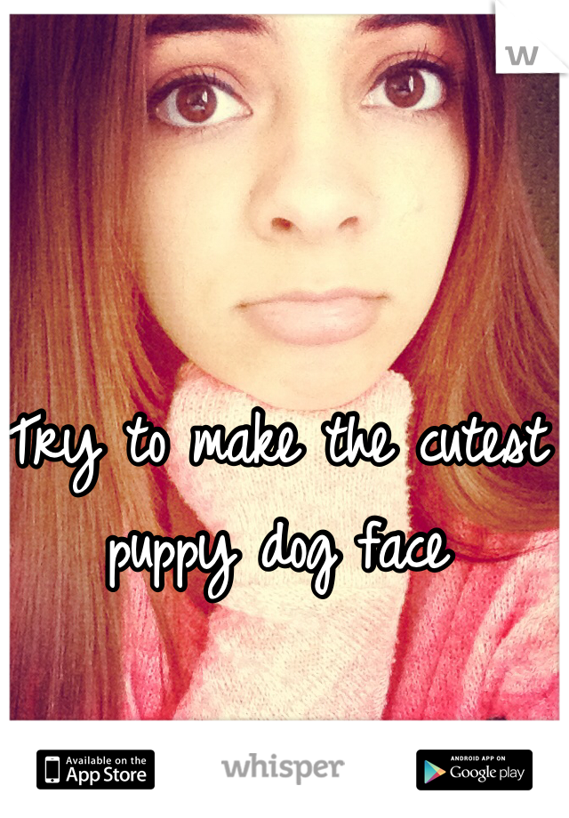 Try to make the cutest puppy dog face 