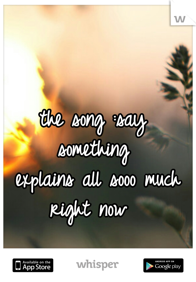the song :say 
something 
explains all sooo much
right now  