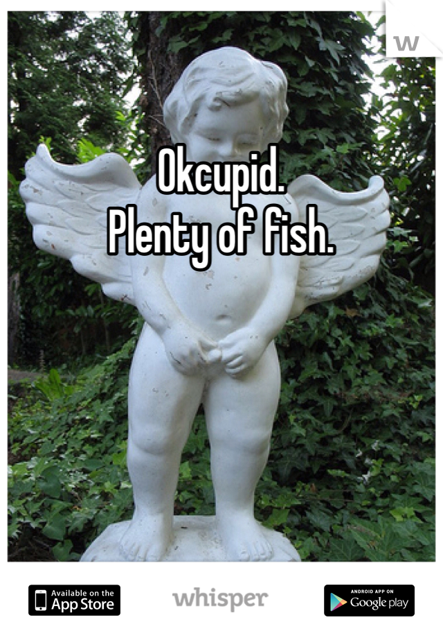 Okcupid. 
Plenty of fish.