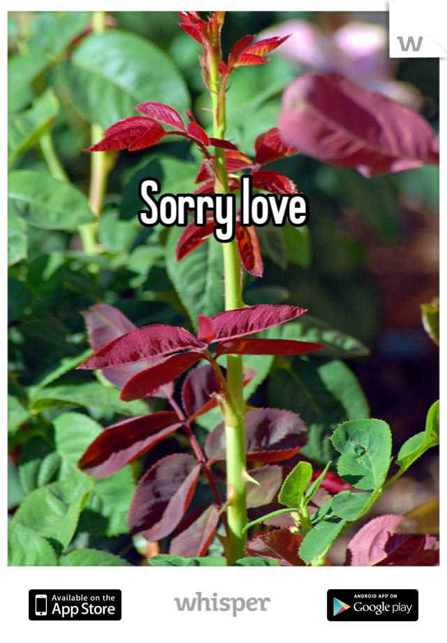 Sorry love