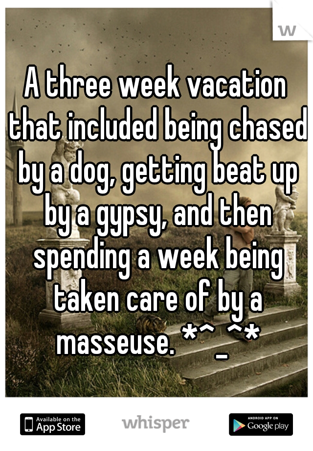 A three week vacation that included being chased by a dog, getting beat up by a gypsy, and then spending a week being taken care of by a masseuse. *^_^*