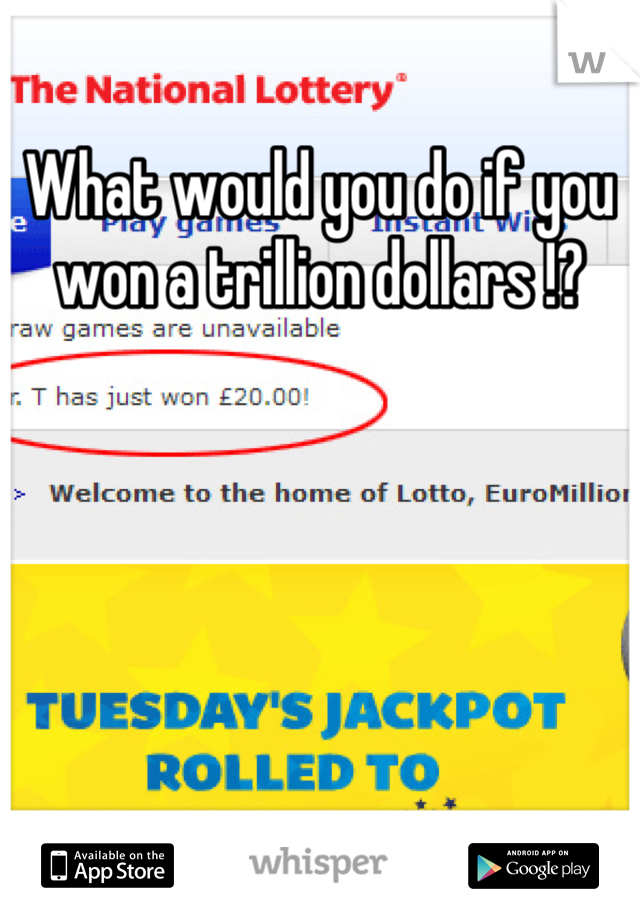 What would you do if you won a trillion dollars !?