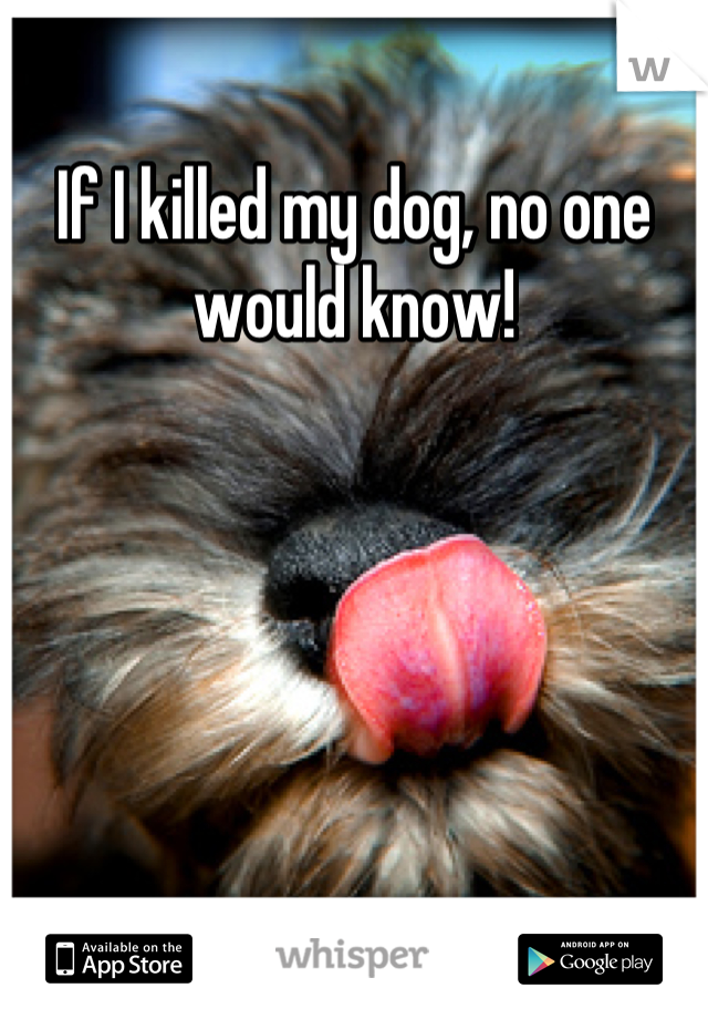 If I killed my dog, no one would know!