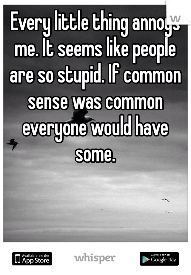 Every little thing annoys me. It seems like people are so stupid. If common sense was common everyone would have some. 