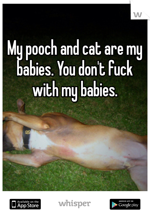 My pooch and cat are my babies. You don't fuck with my babies.
