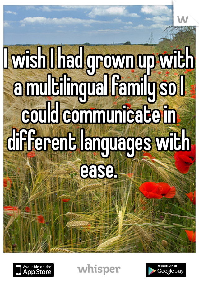 I wish I had grown up with a multilingual family so I could communicate in different languages with ease.