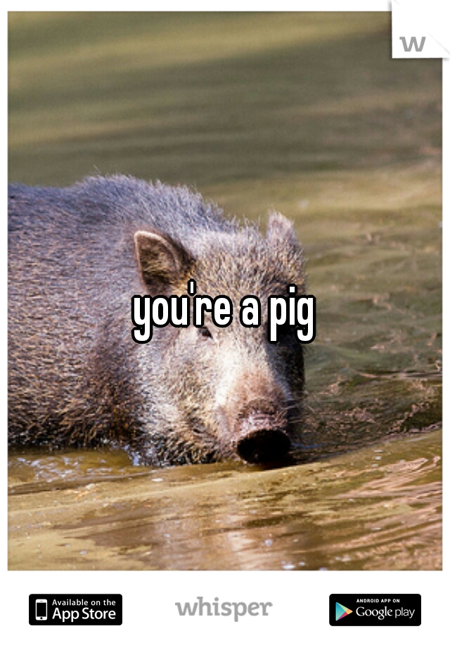 you're a pig