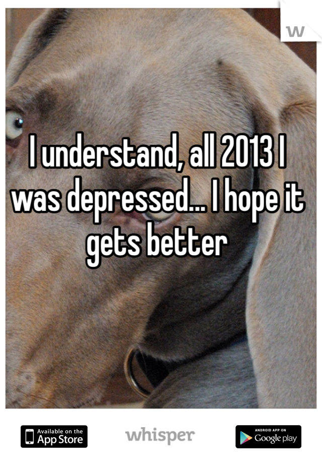 I understand, all 2013 I was depressed... I hope it gets better