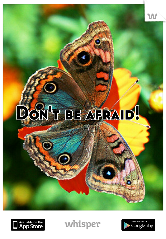 Don't be afraid!  