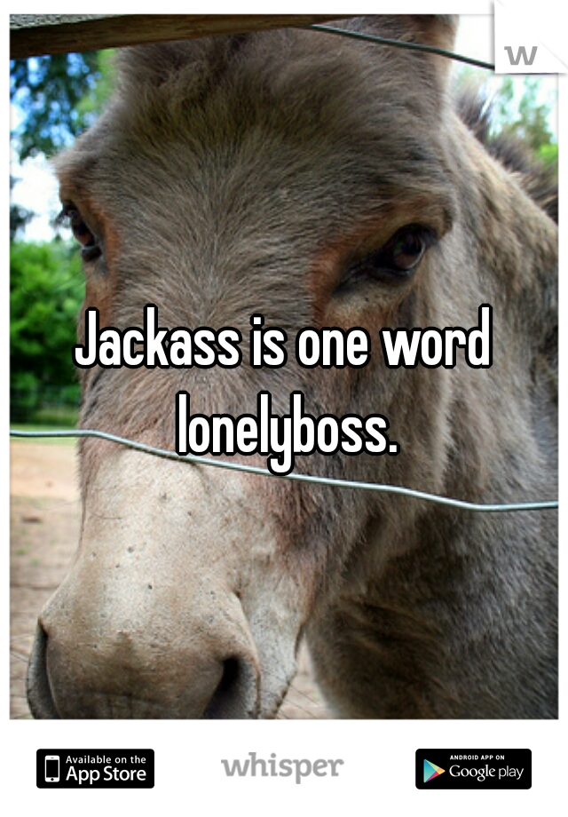 Jackass is one word lonelyboss.