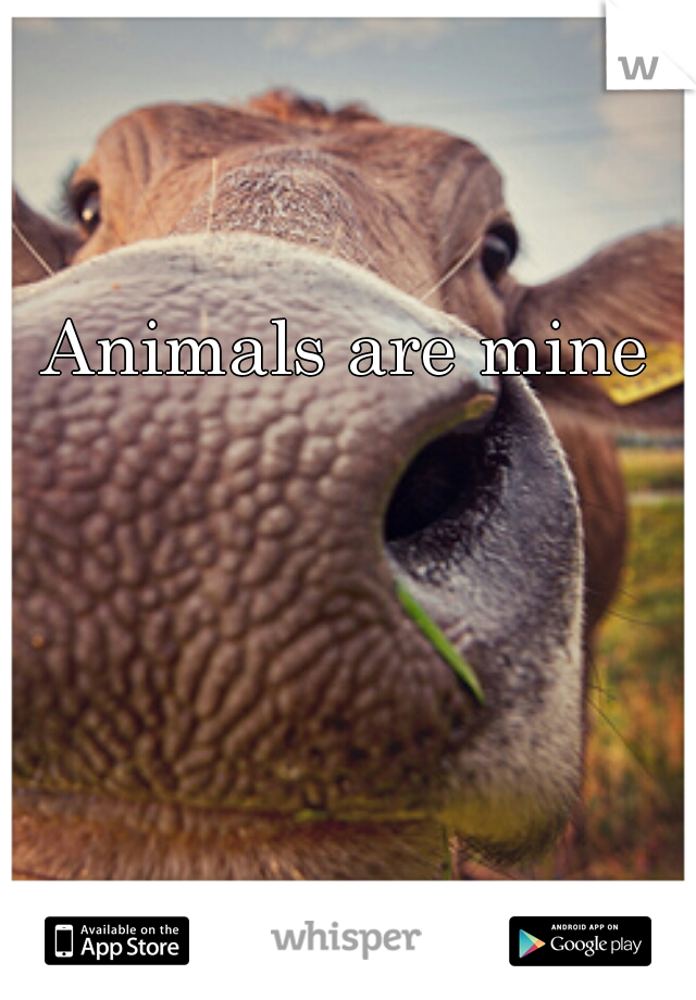 Animals are mine