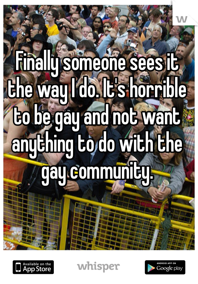 Finally someone sees it the way I do. It's horrible to be gay and not want anything to do with the gay community. 
