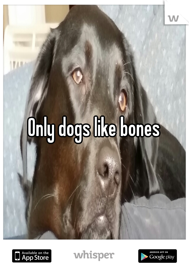 Only dogs like bones