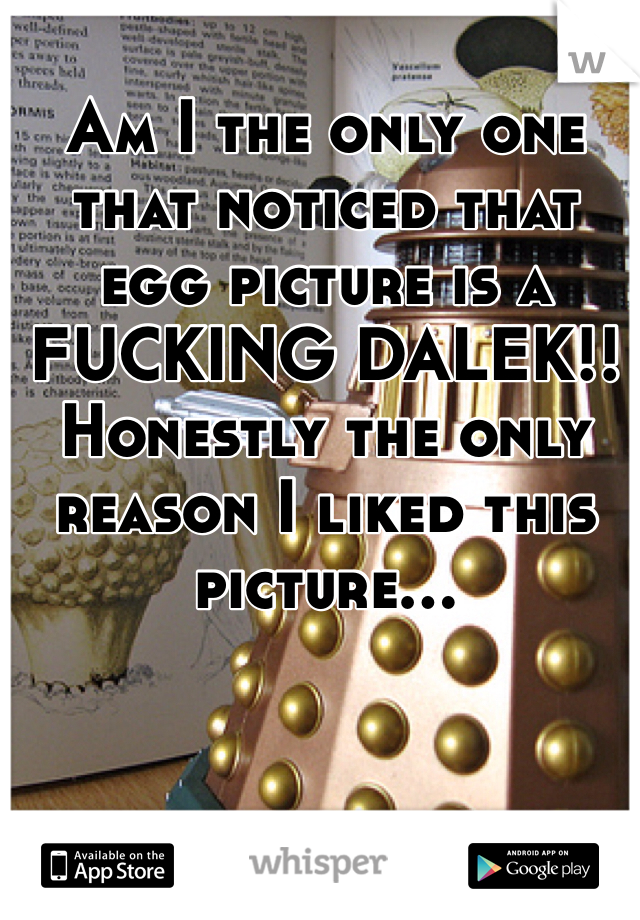 Am I the only one that noticed that egg picture is a FUCKING DALEK!! Honestly the only reason I liked this picture...
