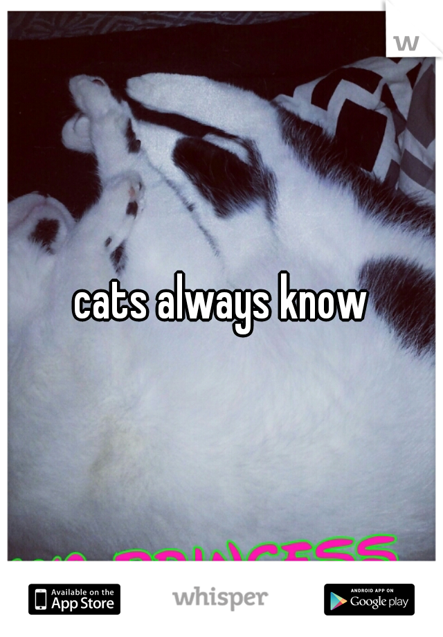 cats always know