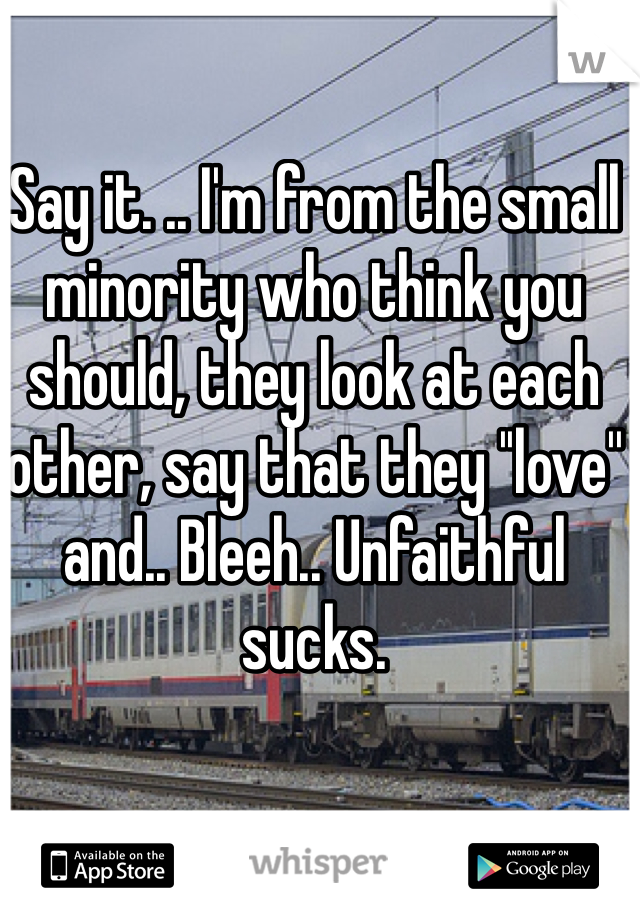 Say it. .. I'm from the small minority who think you should, they look at each other, say that they ''love'' and.. Bleeh.. Unfaithful sucks. 