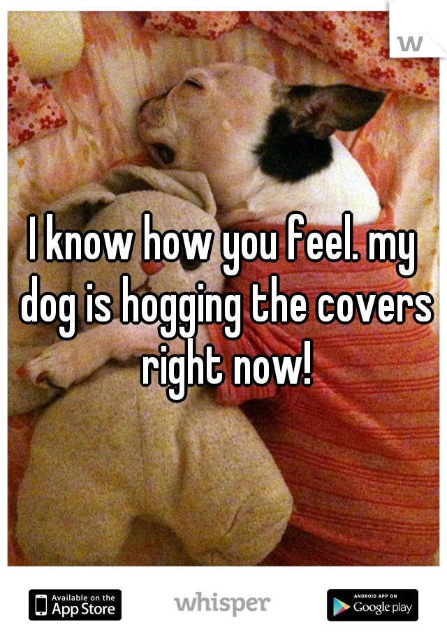 I know how you feel. my dog is hogging the covers right now!