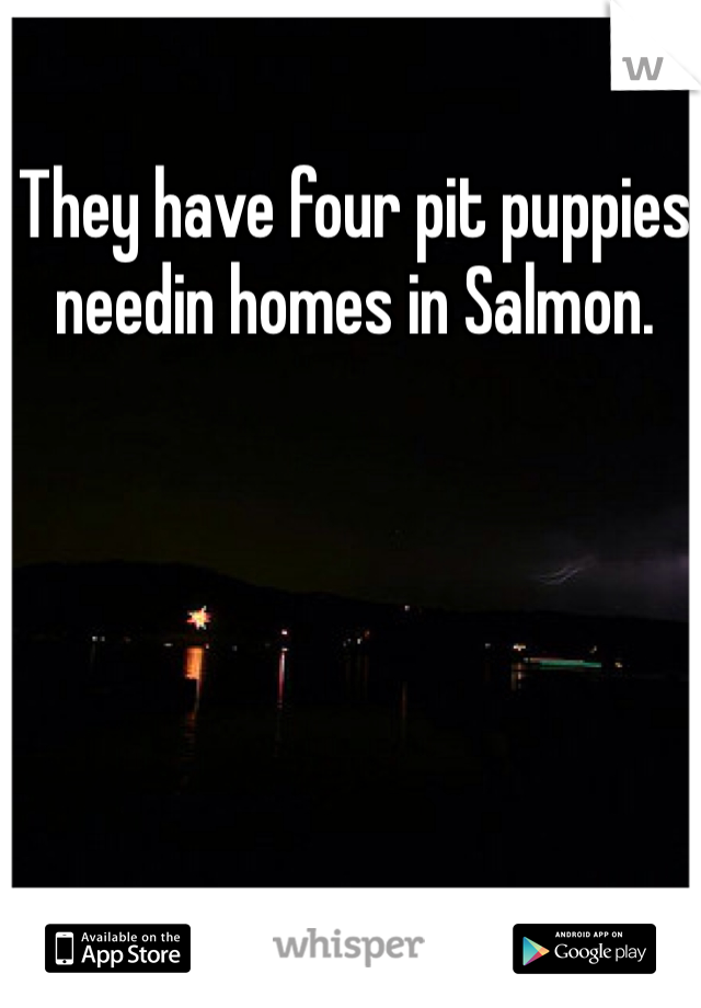 They have four pit puppies needin homes in Salmon. 