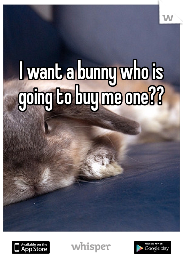 I want a bunny who is going to buy me one??