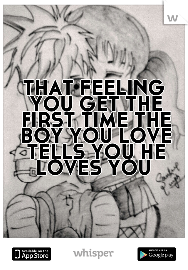THAT FEELING YOU GET THE FIRST TIME THE BOY YOU LOVE TELLS YOU HE LOVES YOU 