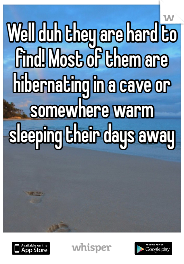 Well duh they are hard to find! Most of them are hibernating in a cave or somewhere warm sleeping their days away