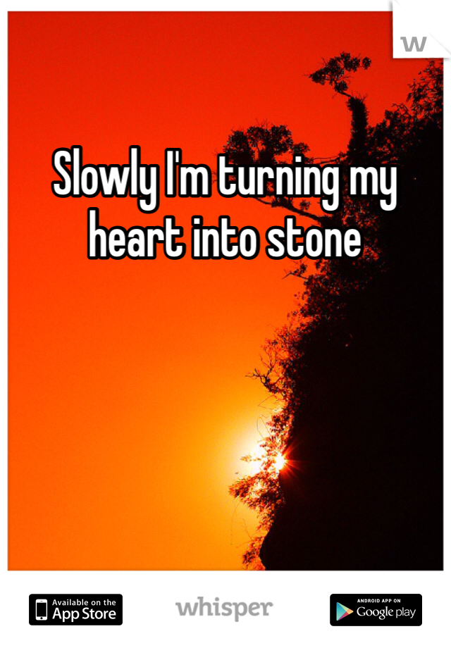 Slowly I'm turning my heart into stone 