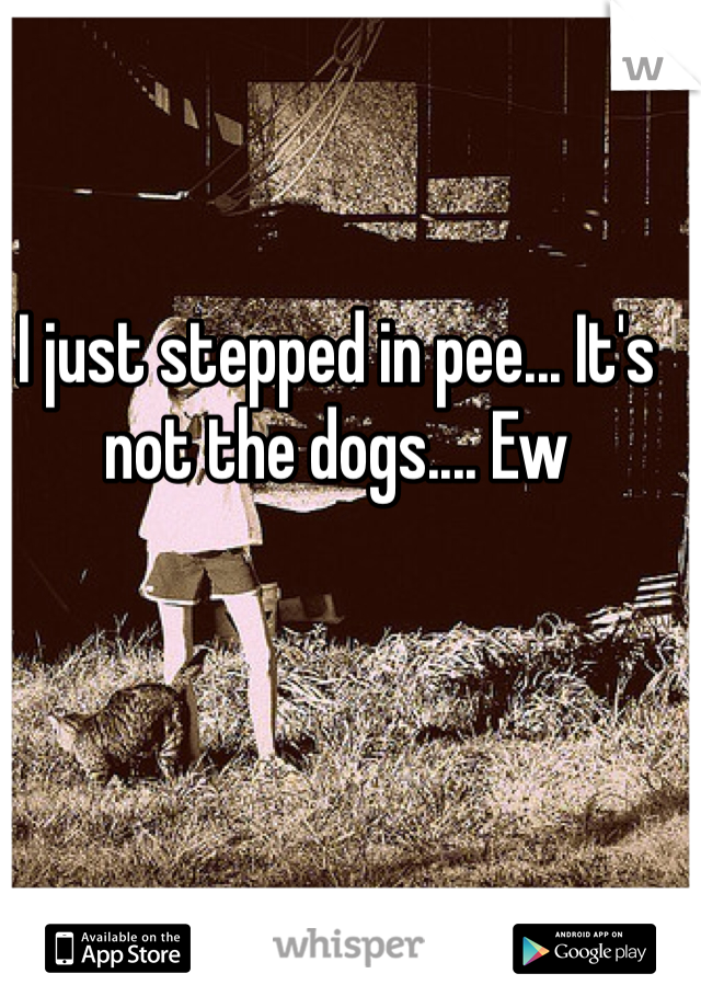I just stepped in pee... It's not the dogs.... Ew