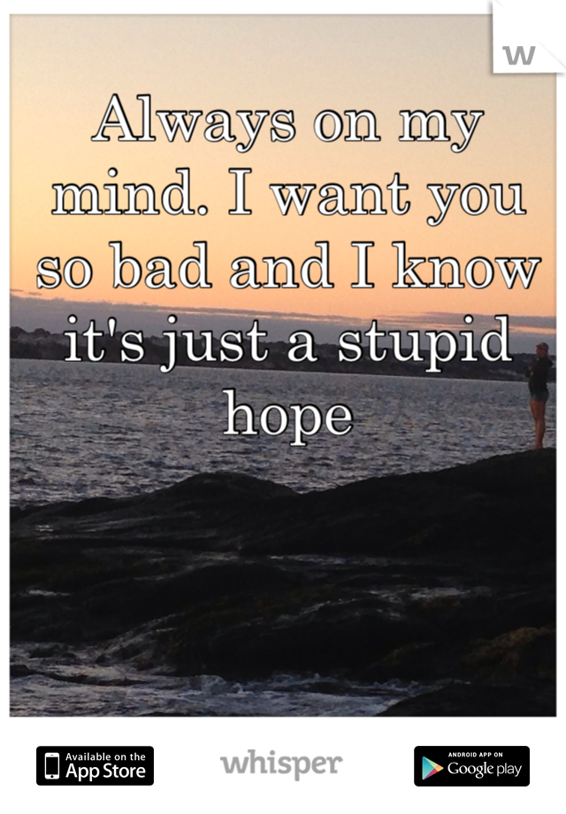 Always on my mind. I want you so bad and I know it's just a stupid hope