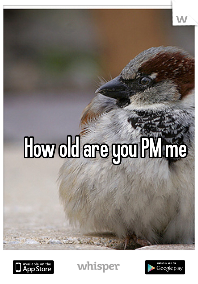 How old are you PM me 