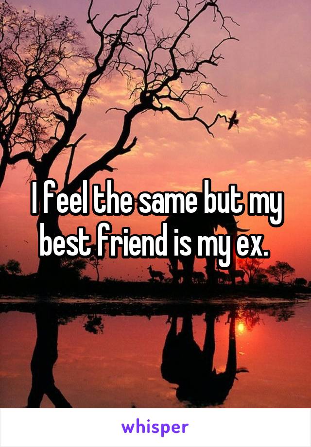I feel the same but my best friend is my ex. 