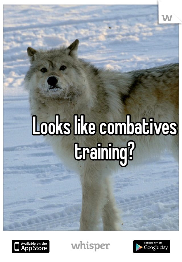 Looks like combatives training?