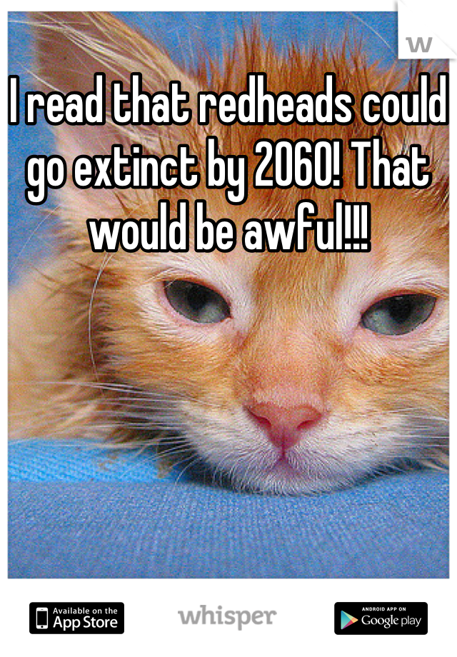 I read that redheads could go extinct by 2060! That would be awful!!!