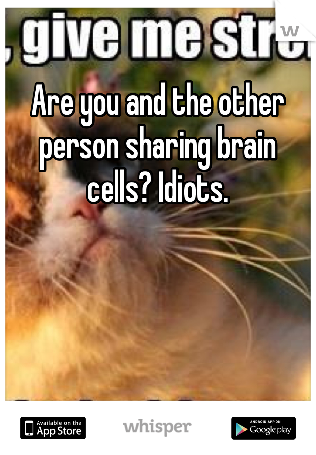 Are you and the other person sharing brain cells? Idiots. 