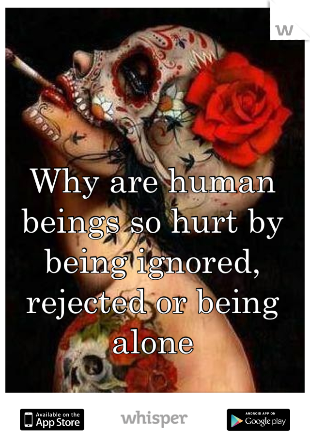 Why are human beings so hurt by being ignored, rejected or being alone