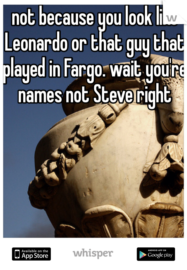 not because you look like Leonardo or that guy that played in Fargo. wait you're names not Steve right
