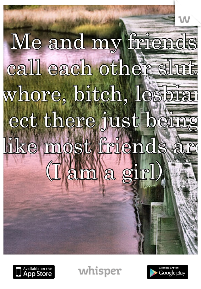 Me and my friends call each other slut, whore, bitch, lesbian ect there just being like most friends are (I am a girl)