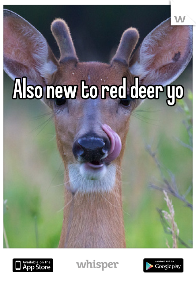 Also new to red deer yo