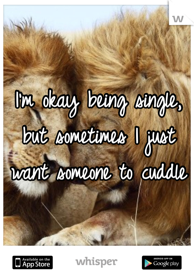 I'm okay being single, but sometimes I just want someone to cuddle