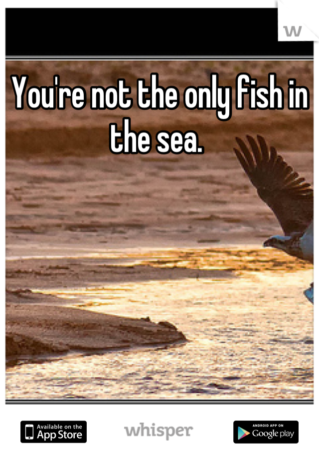 You're not the only fish in the sea. 