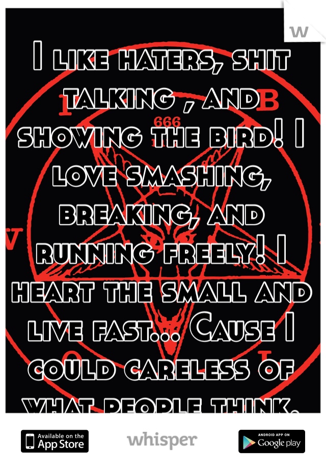 I like haters, shit talking , and showing the bird! I love smashing, breaking, and running freely! I heart the small and live fast... Cause I  could careless of what people think.
